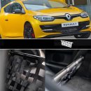 Clubsport Set - Strebe mit Netz für Renault Megane 3 RS